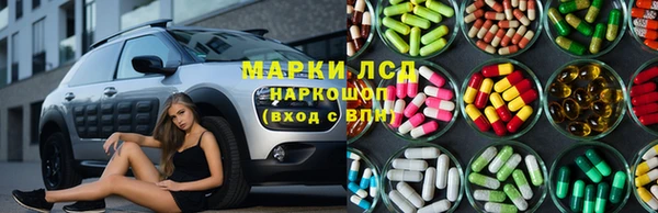 mdpv Тайга