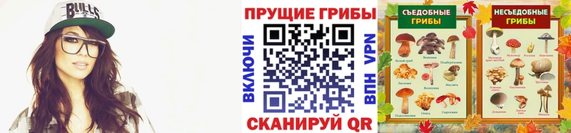 Купить закладки  Мезень  Галлюциногенные грибы мицелий 